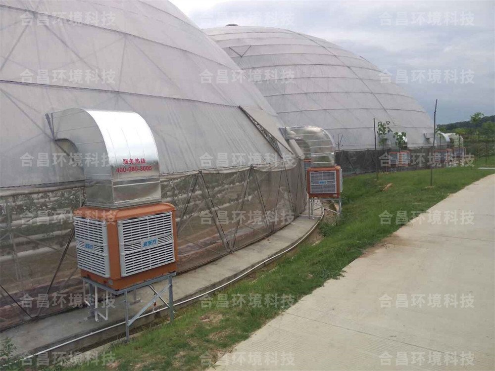 润东方环保空调温室大棚通风降温工程